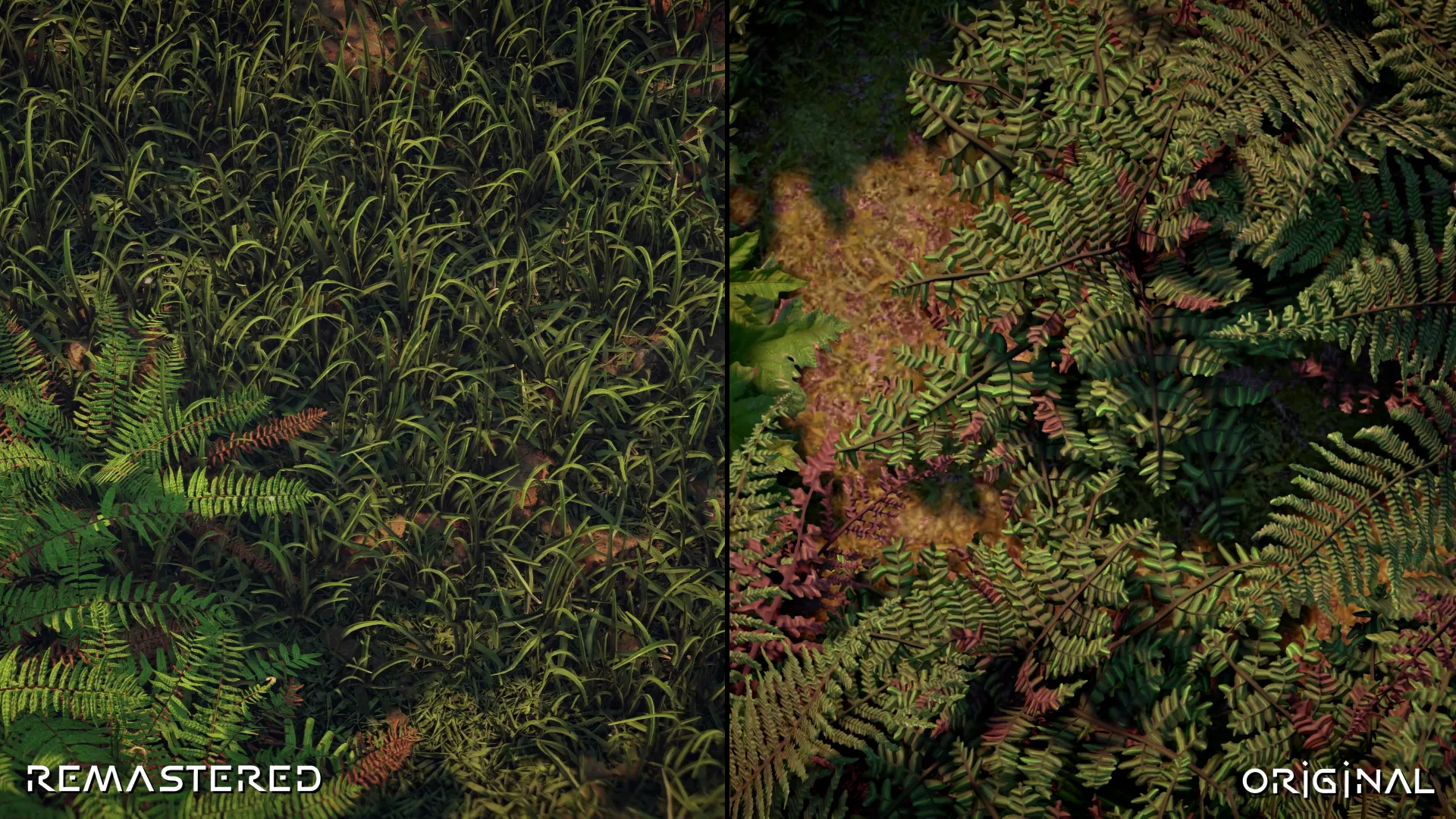 HZDR-Comparizon-08